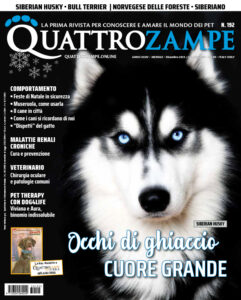 È in edicola il numero di dicembre 2023 gennaio 2024 di Quattrozampe