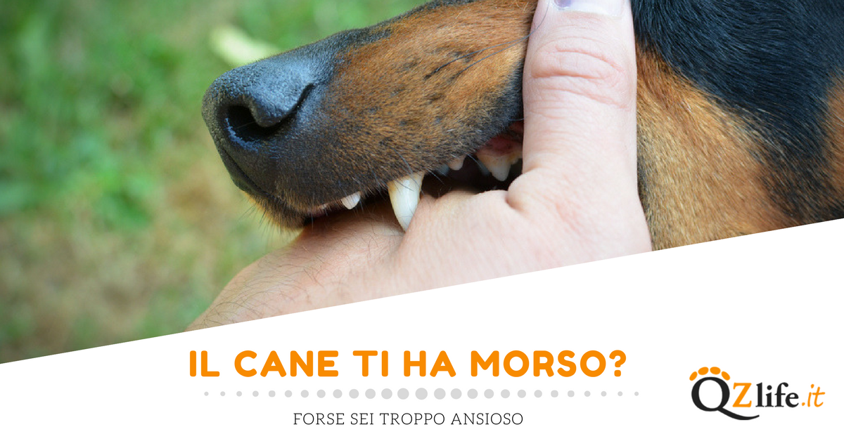 Se sei ansioso hai più probabilità di essere morso da un cane - Quattro