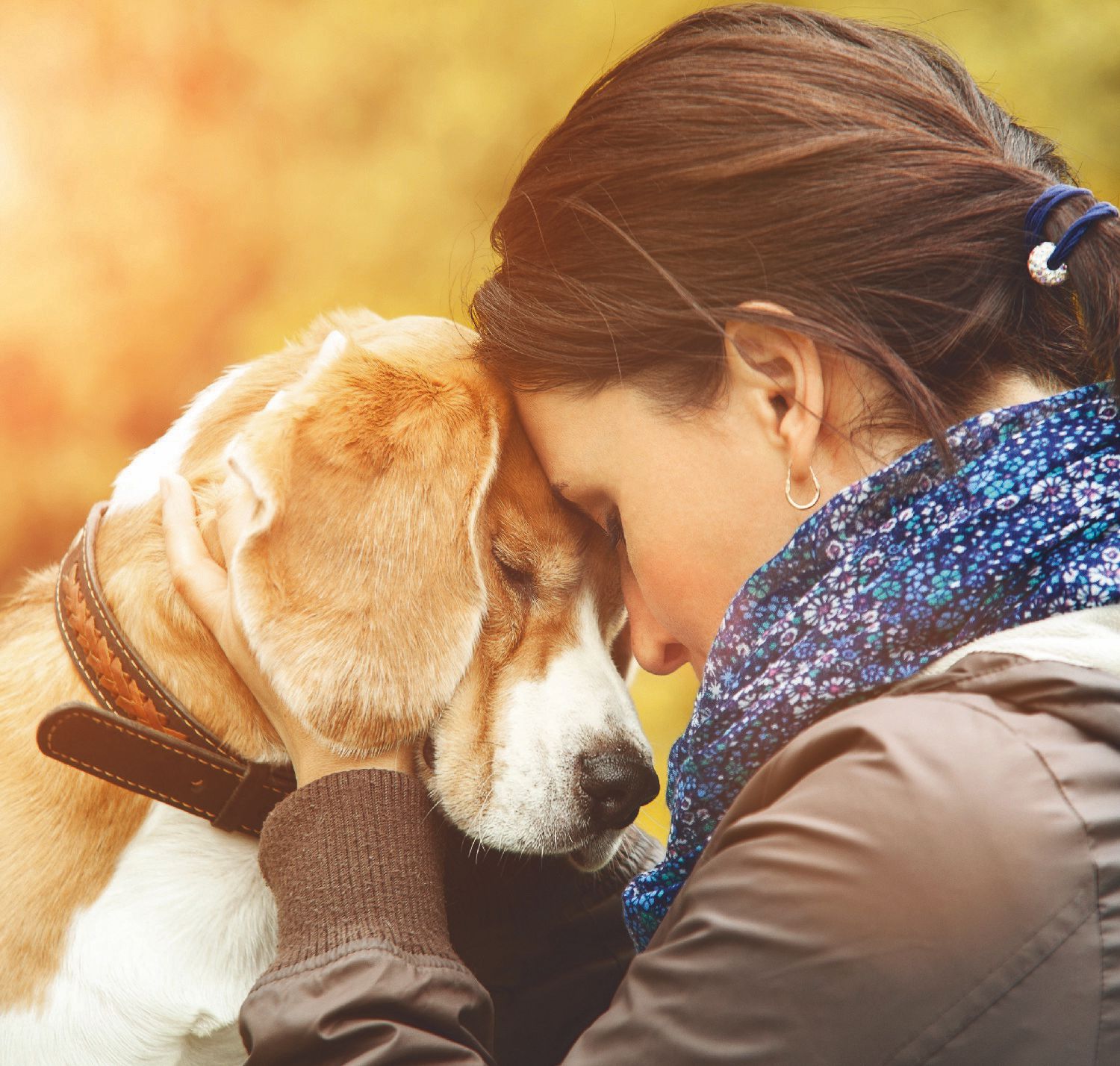 L’importanza Delle Emozioni Del Cane - Quattrozampe