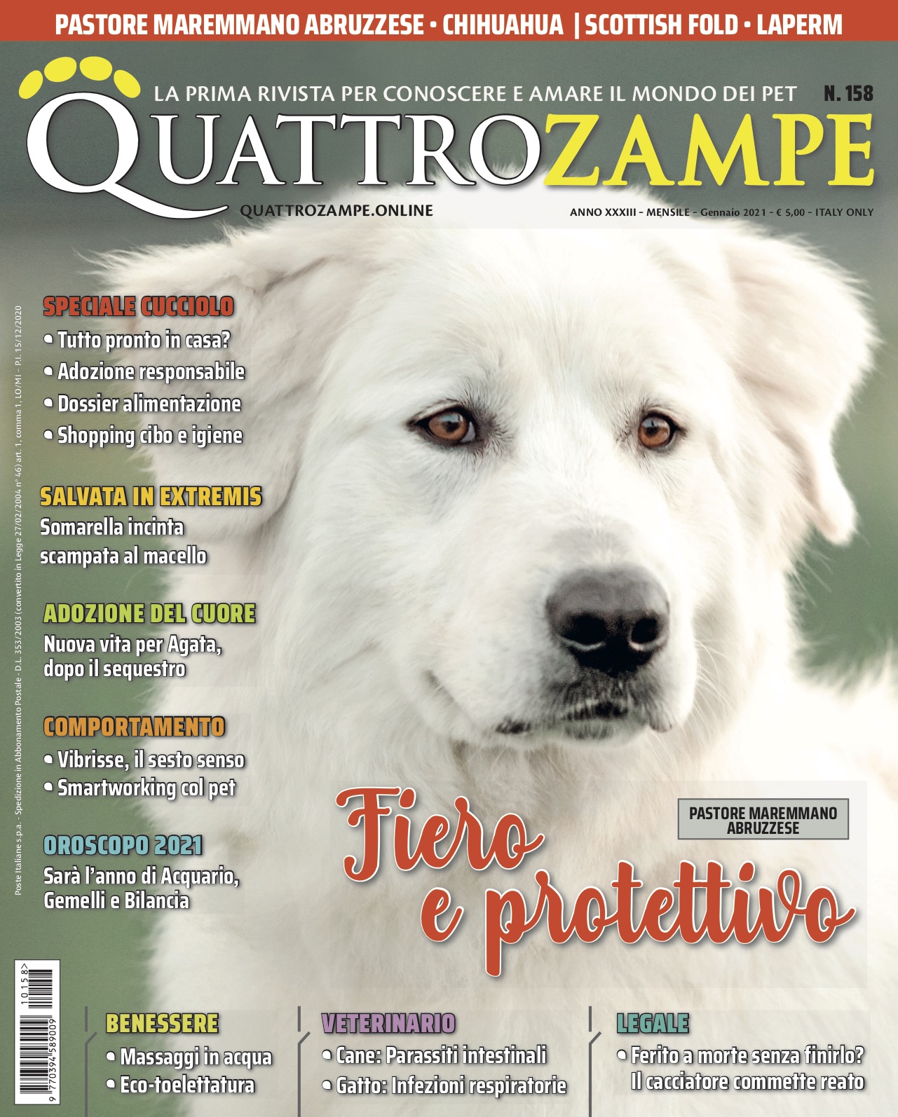 È in edicola il numero di gennaio 2021 di Quattro Zampe - Quattro Zampe