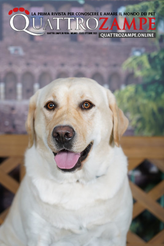 Concorso Fotografico - QuattroZampe in Fiera - Milano - Ottobre 2021