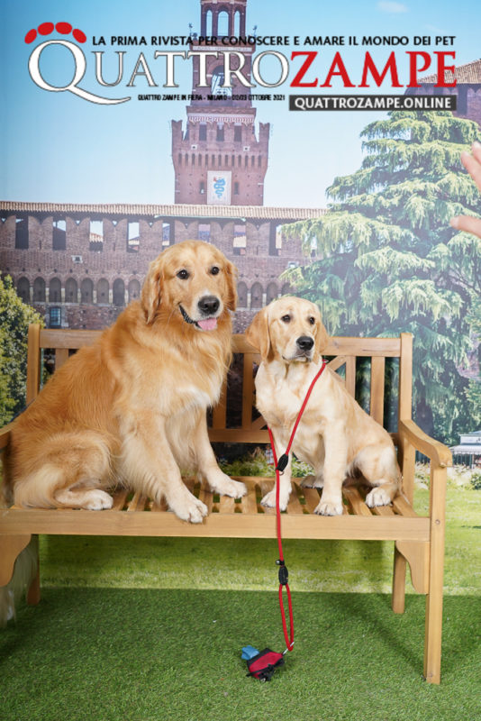 Concorso Fotografico - QuattroZampe in Fiera - Milano - Ottobre 2021