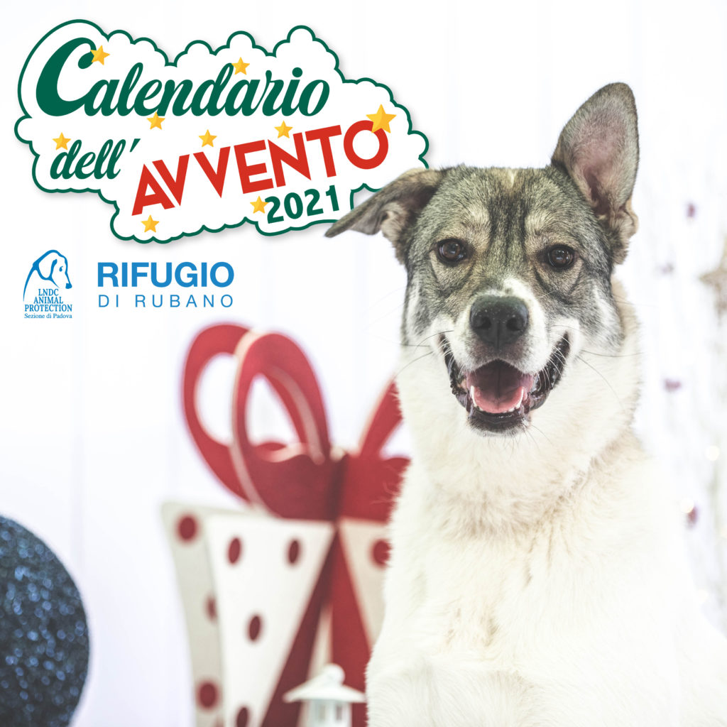 Arriva dicembre e con lui la tradizione del Calendario dell’Avvento