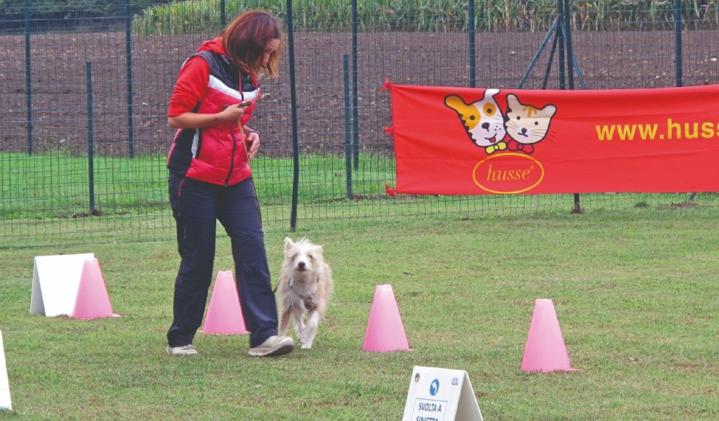 Rally-obedience molto di più di uno sport