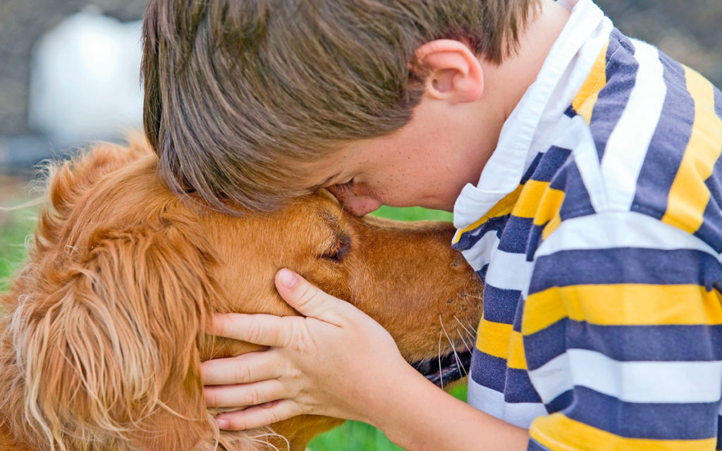 Come glielo dico che il cane non c’è più?