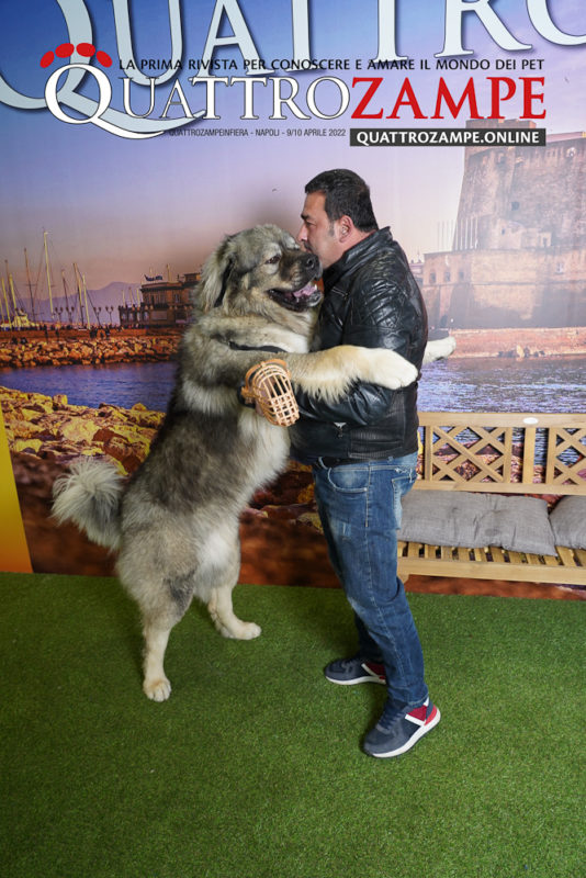 Concorso Fotografico - QuattroZampe in Fiera - Napoli - Aprile 2022