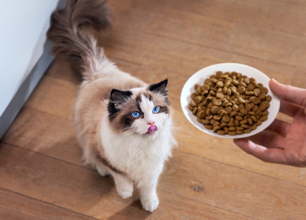 È bene scegliere sempre il cibo giusto per  la cute e lo stomaco sensibili in cani e gatti