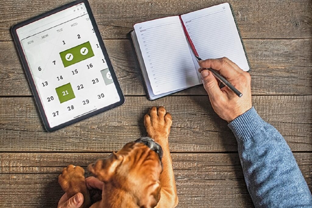 L'app per animali Pheedos ti aiuta a ricordare tutte le scadenze legate al tuo pet
