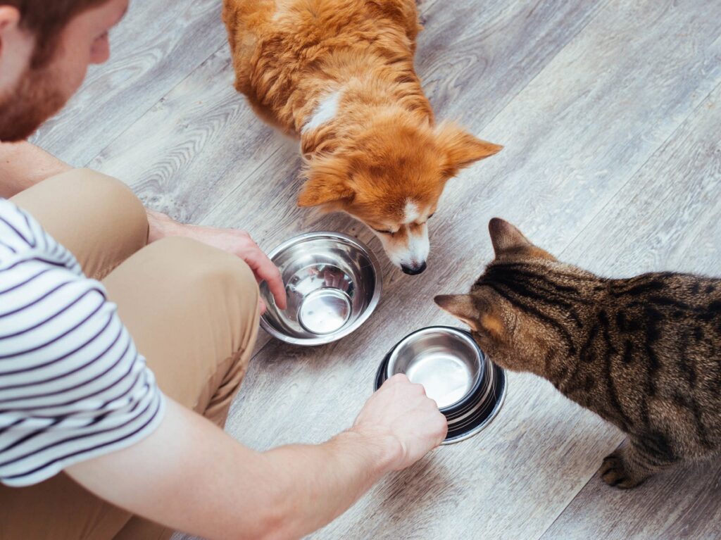 La nuova linea Prolife Diet è il risultato di un importante lavoro di ricerca sul cibo per cani e gatti