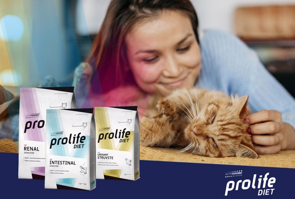 I nuovi prodotti Prolife Diet per il tuo gatto sono vari e garantiscono la sua salute