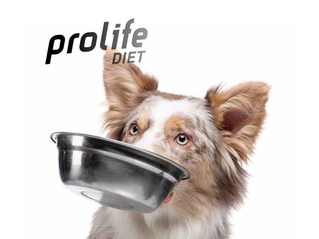 Prolife Diet è la nuova linea pensata per il trattamento a livello nutrizionale delle principali patologie del cane