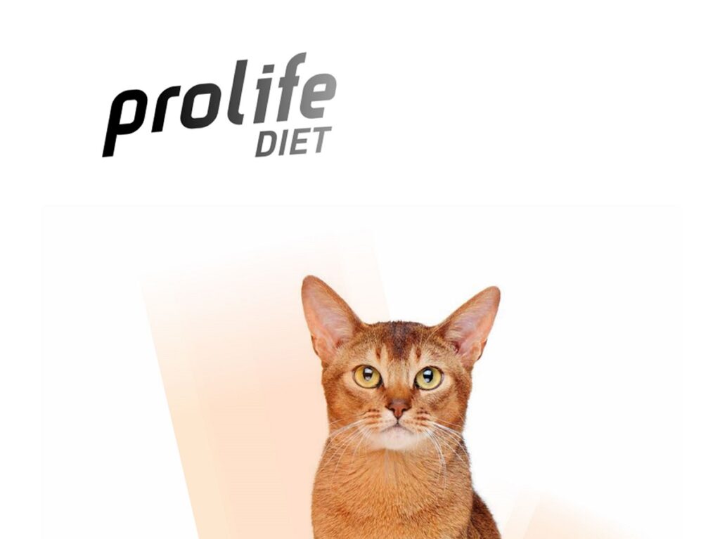 Prolife Diet è la nuova linea pensata per il trattamento a livello nutrizionale delle principali patologie del gatto