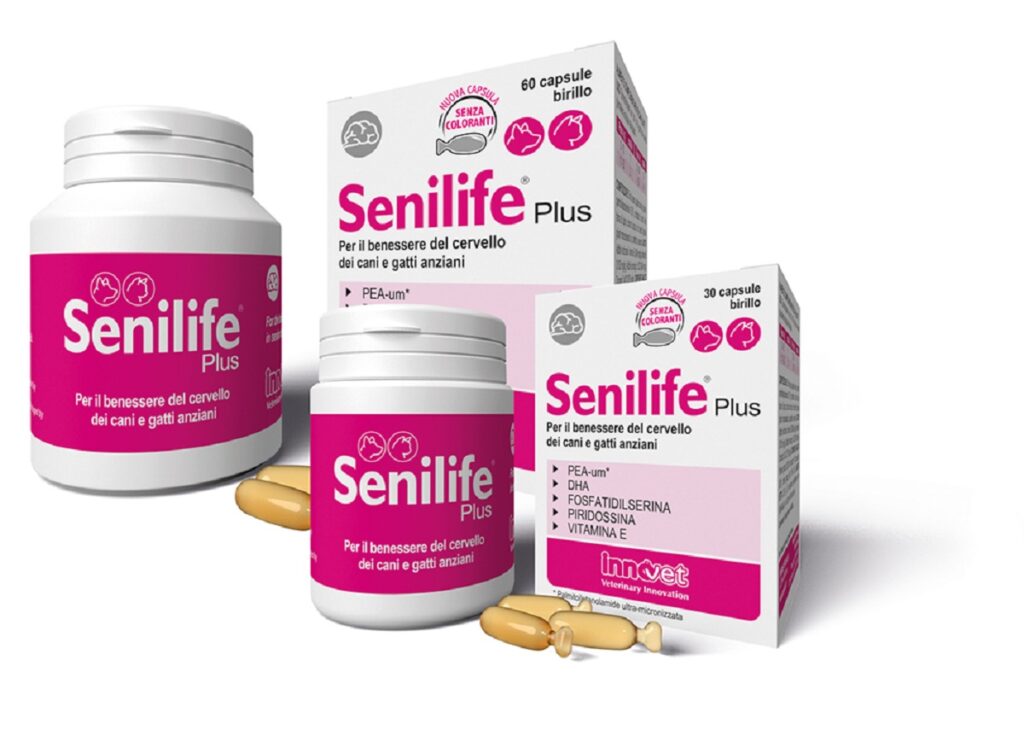 Senilife® Plus è il prodotto che arriva dalla Ricerca Innovet per il benessere del cervello di cani e gatti 