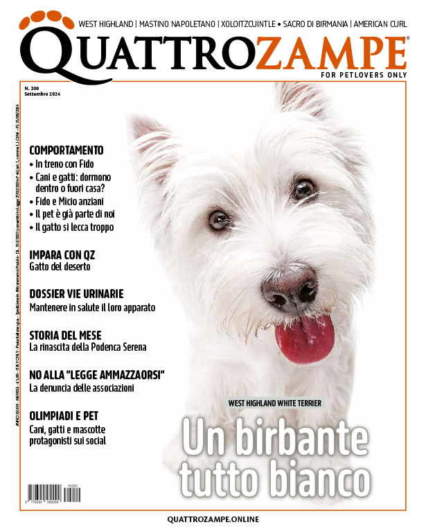 È in edicola e online il numero di settembre 2024 di Quattrozampe