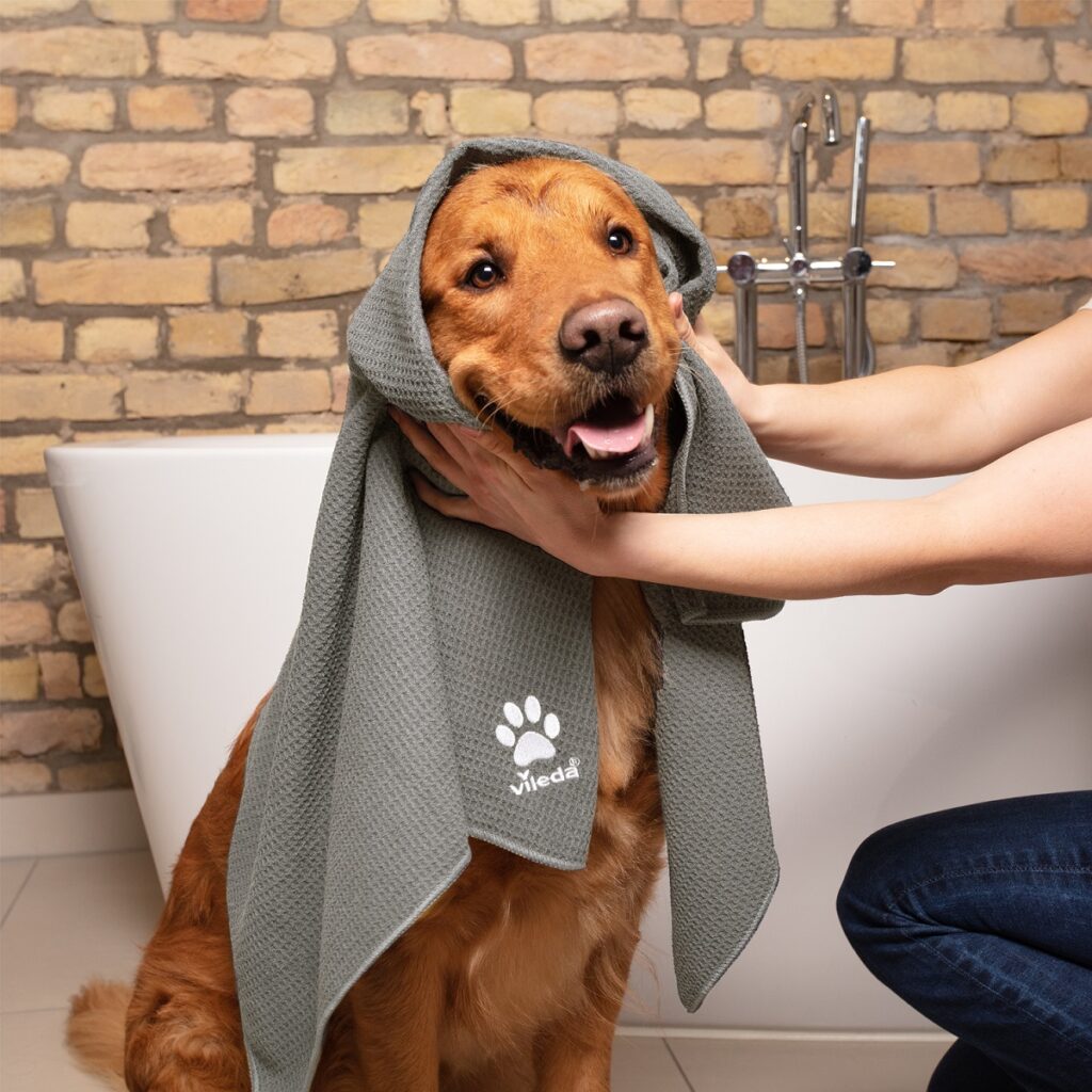 Anche nel periodo del cambio del pelo puoi usare Vileda Pet Pro Microfibre Towel per asciugare il tuo amico a quattro zampe