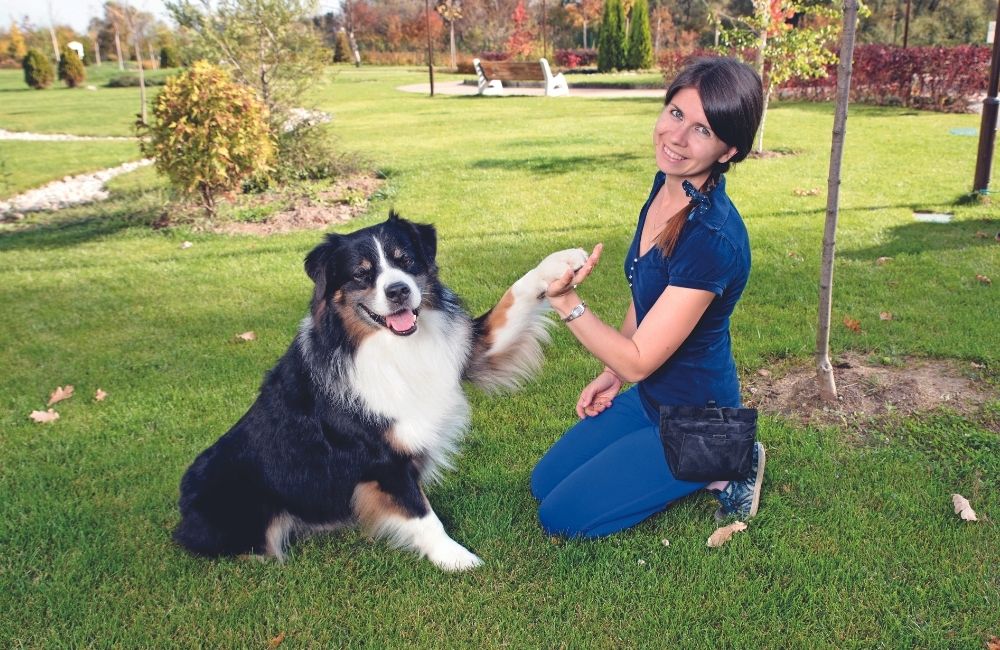 Essere un buon educatore del cane