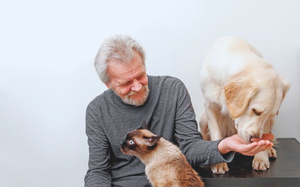 Cani e gatti non più giovincelli