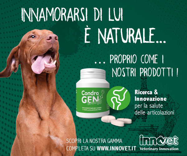 Cane Nudo Messicano