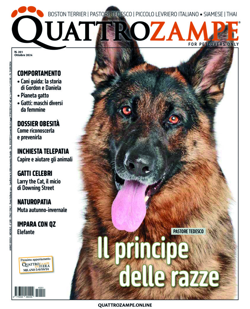 È in edicola e online il numero di ottobre 2024 di Quattrozampe