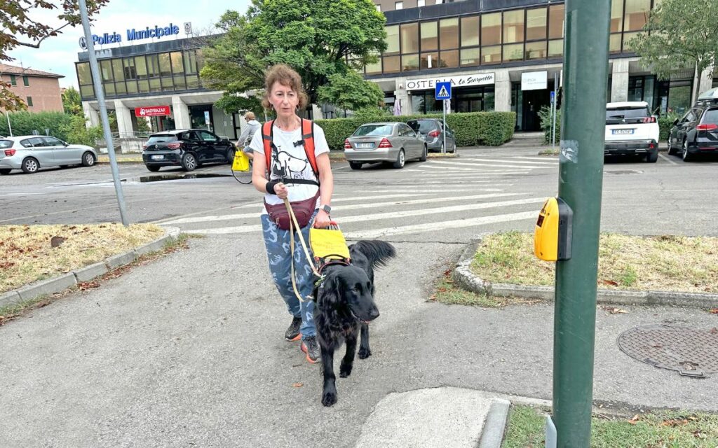 Cani guida: la storia di Gordon e Daniela