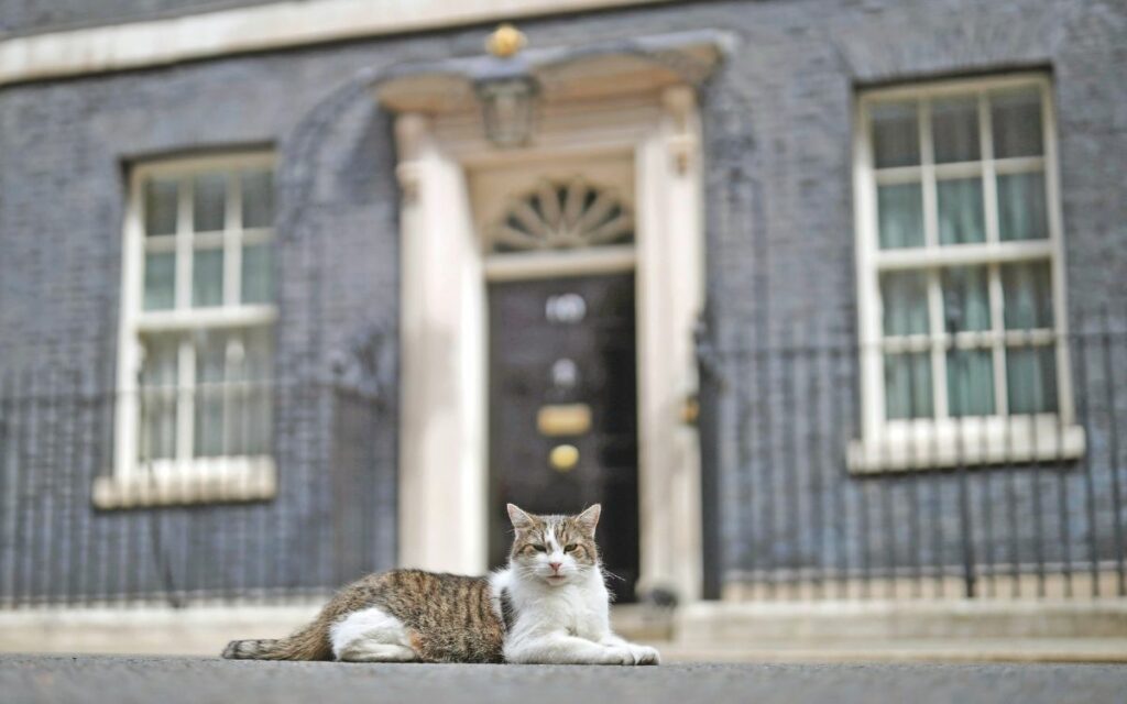 Larry the Cat, gatto primo ministro