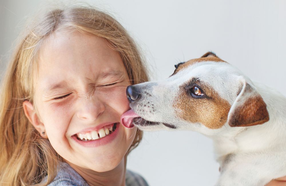 Quando l'animale è già parte di noi