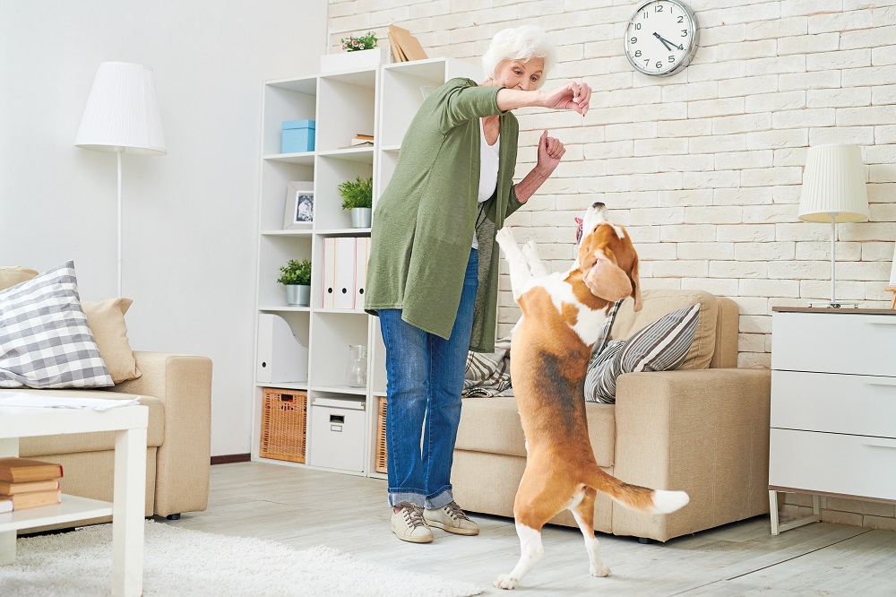 Fare attenzione alla salute delle articolazioni del cane è importante