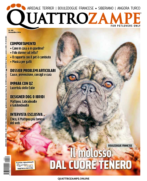 Copertina Cartacea Quattrozampe