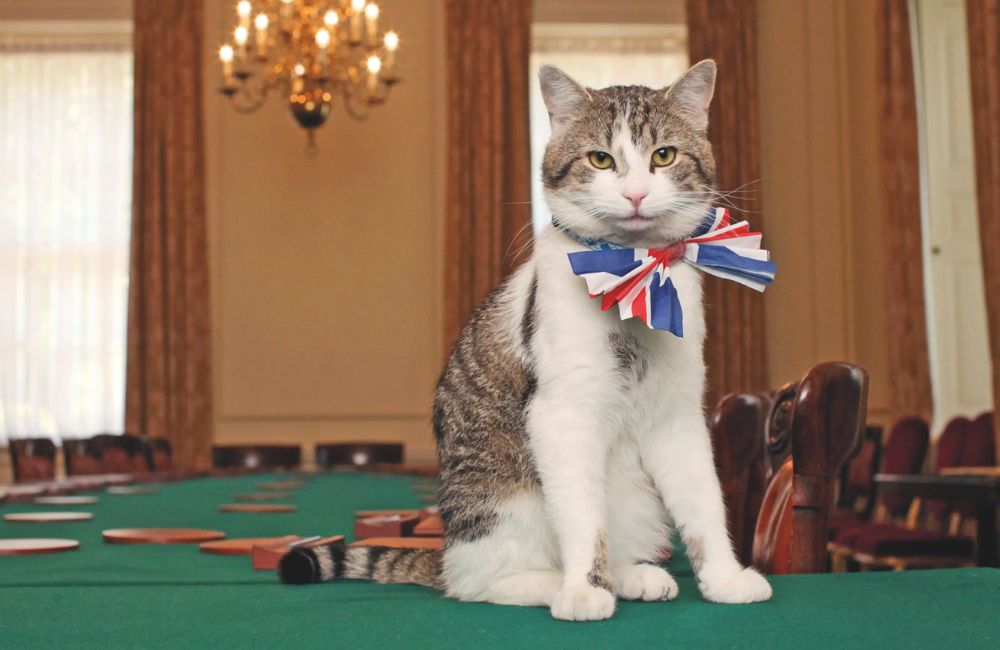 Larry the Cat, gatto primo ministro