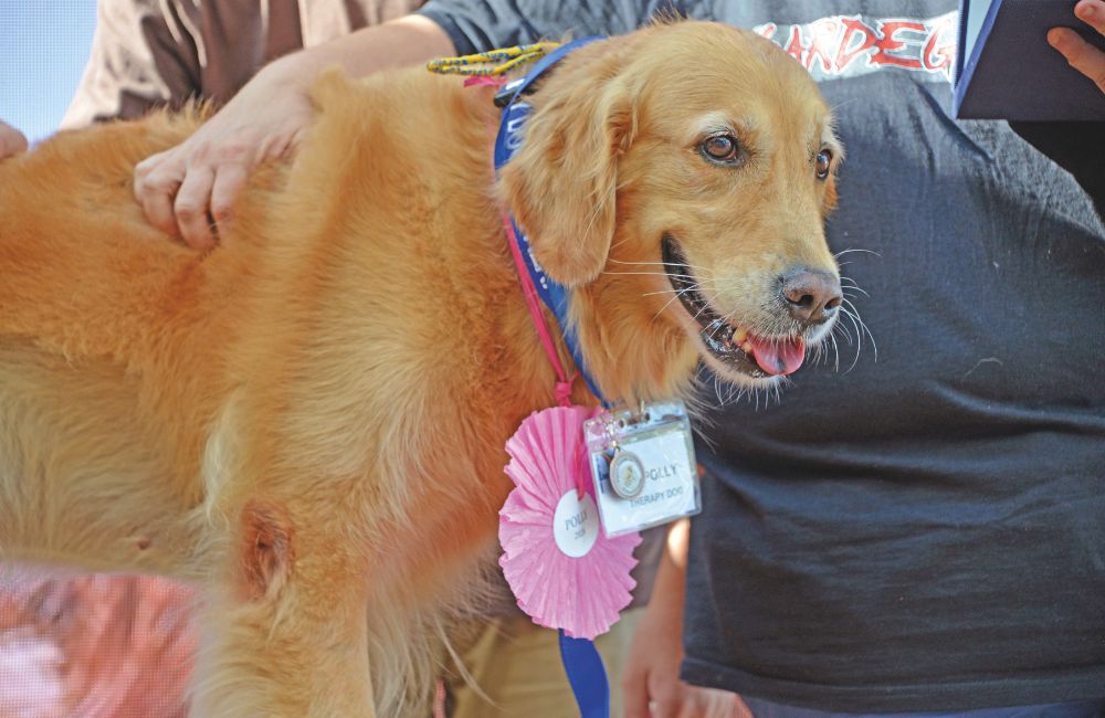 Premio internazionale fedeltà del cane