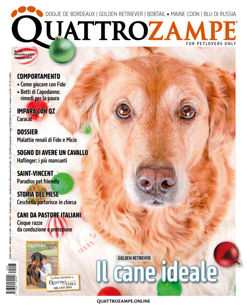 È in edicola il numero di dicembre 2024 / gennaio 2025 di Quattrozampe