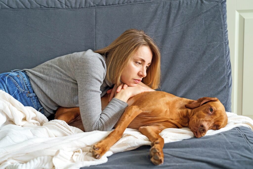 Misurare la temperatura di cani e gatti non è mai stato così semplice con VisioFocus Animal