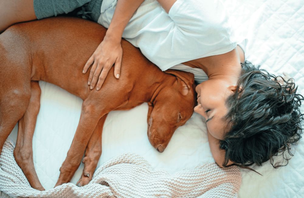 Fido dorme sul letto, è davvero un problema?