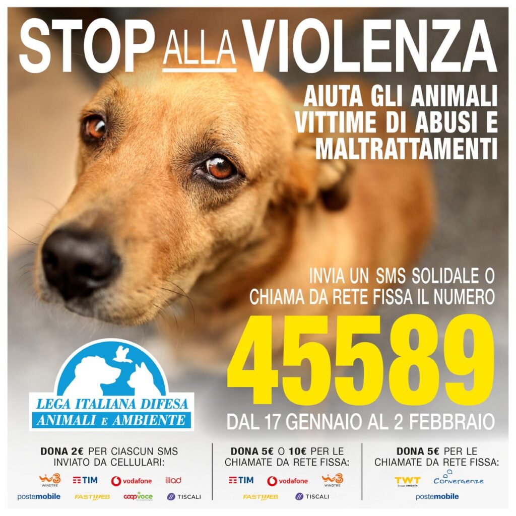 La Lega italiana per la difesa degli animali e dell’ambiente ha lanciato una campagna contro i maltrattamenti di animali