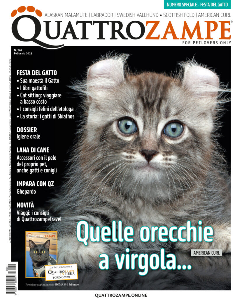 È in edicola il numero di febbraio 2025 di Quattrozampe