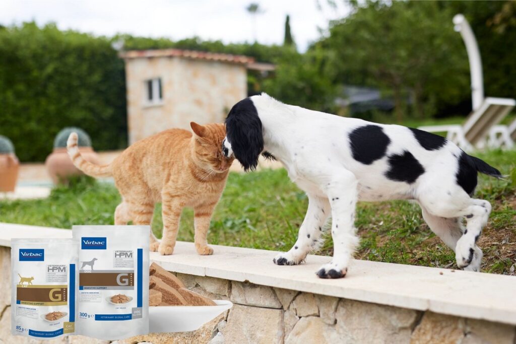 I prodotti Veterinary HPMⓇ Gastro Digestive Support Wet sono un valido aiuto n caso di distrurbi digestivi in cani e gatti