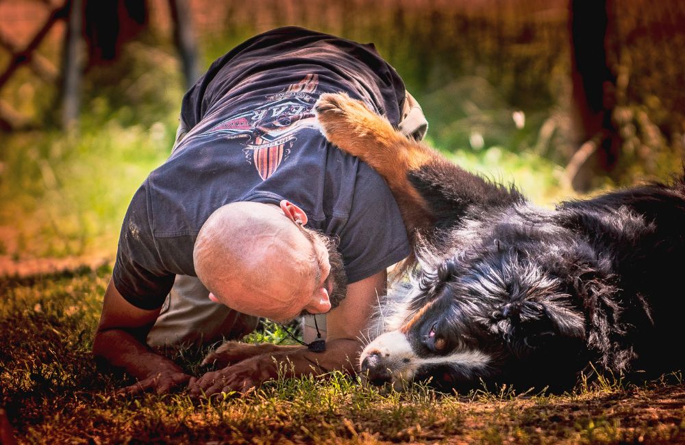 Dalla Valle: vi insegno a giocare con Fido