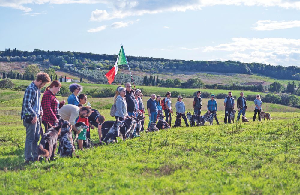 Passerella tricolore