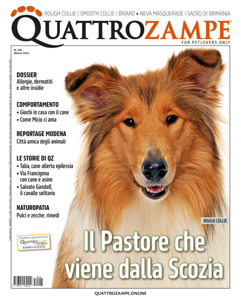 È in edicola il numero di marzo 2025 di Quattrozampe