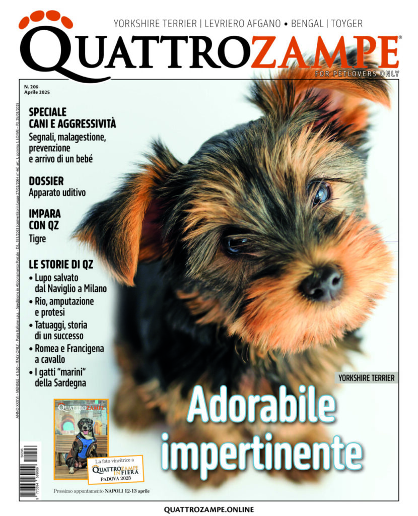 È in edicola il numero di aprile 2025 di Quattrozampe